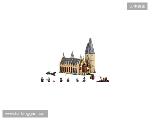 安东内拉：爱拼霍格沃茨城堡，家里有类似博物馆空间放乐高